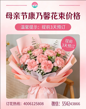 宜宾叙州区花店母亲节康乃馨花束