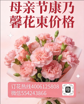 宜宾叙州区花店母亲节康乃馨花束